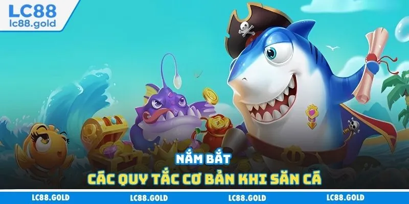 Nắm bắt các quy tắc cơ bản khi săn cá